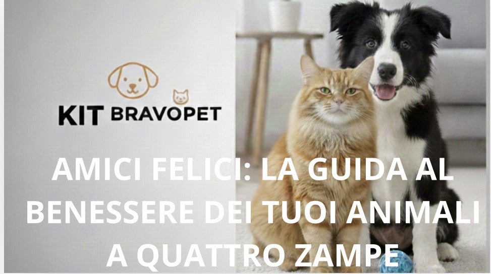 Kit Benessere Completo MondoBravo™ (Spazzola + Asciugamano + Guida).